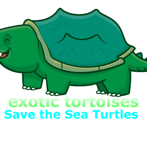 exotic tortoises