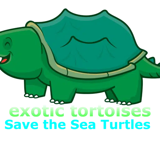 exotic tortoises