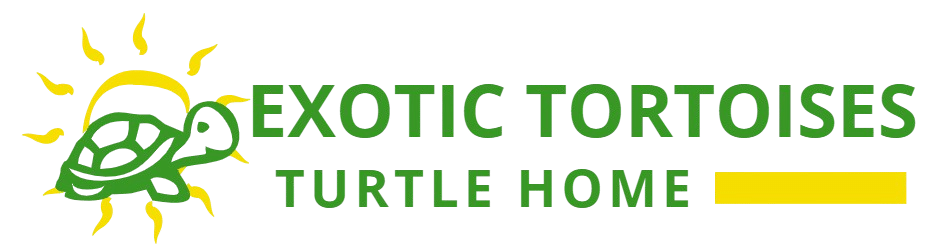 exotic tortoises