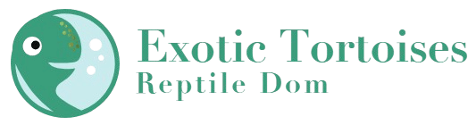 exotic tortoises
